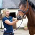 l’ostéopathie pour le cheval