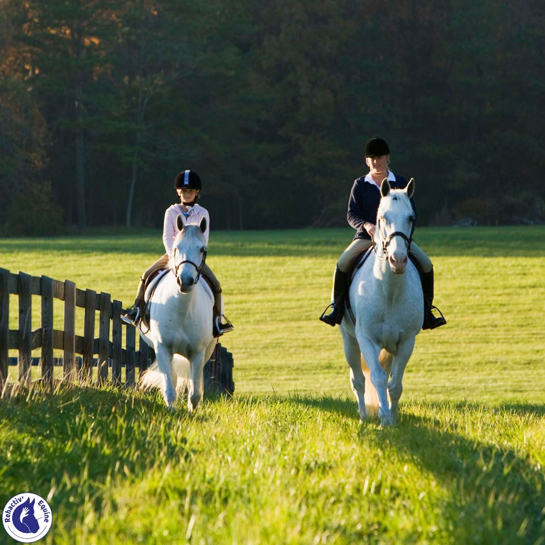 échauffement du cheval