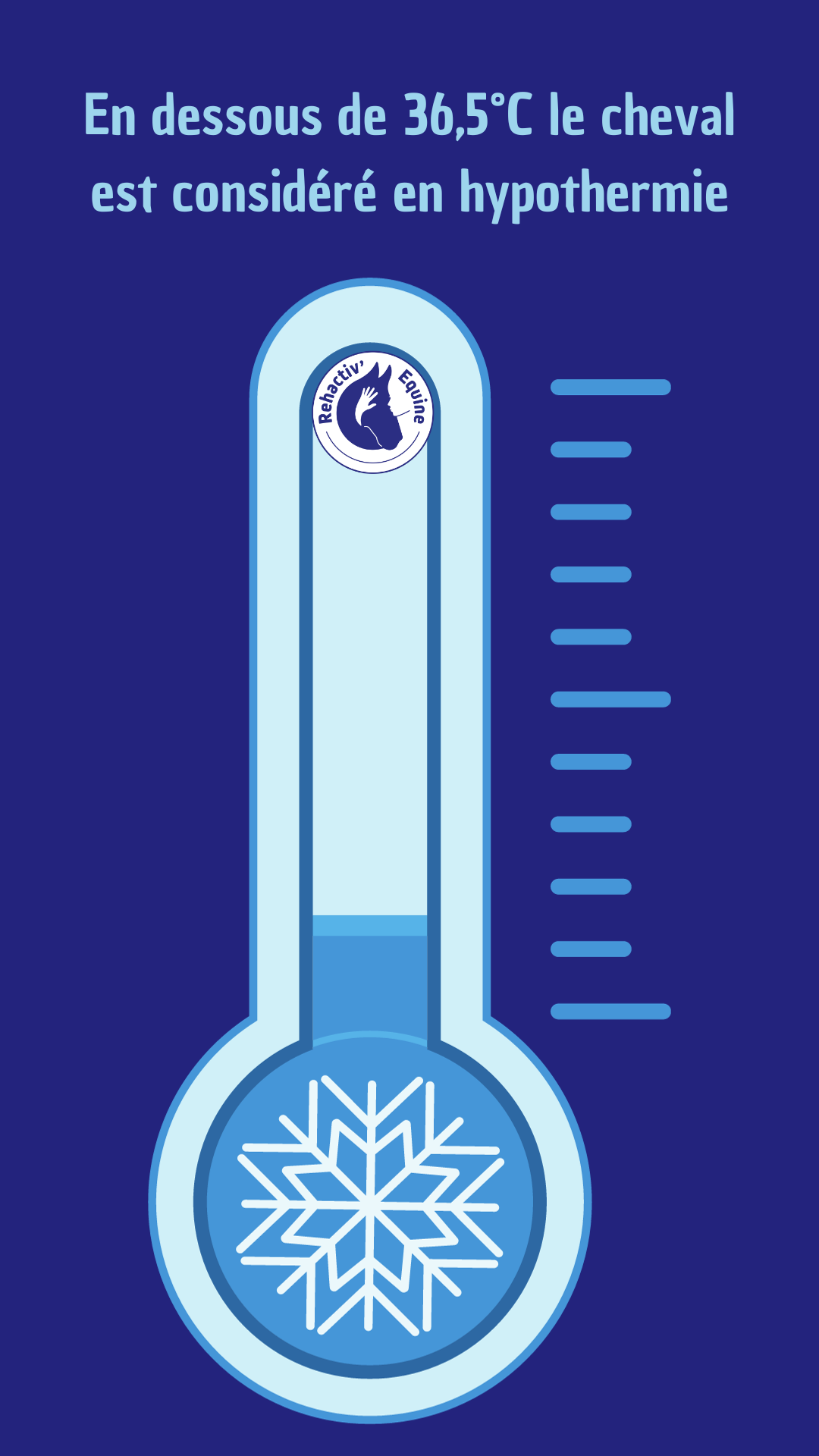 Hypothermie : Prendre soin de son cheval face aux fortes chaleurs