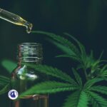 CBD