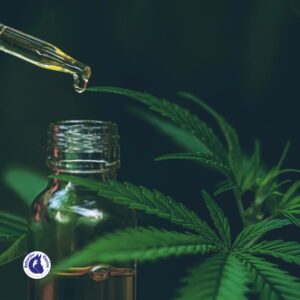 CBD