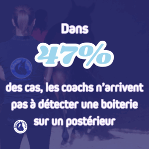 Bilan biomecanique - détection de la boiterie chez le cheval