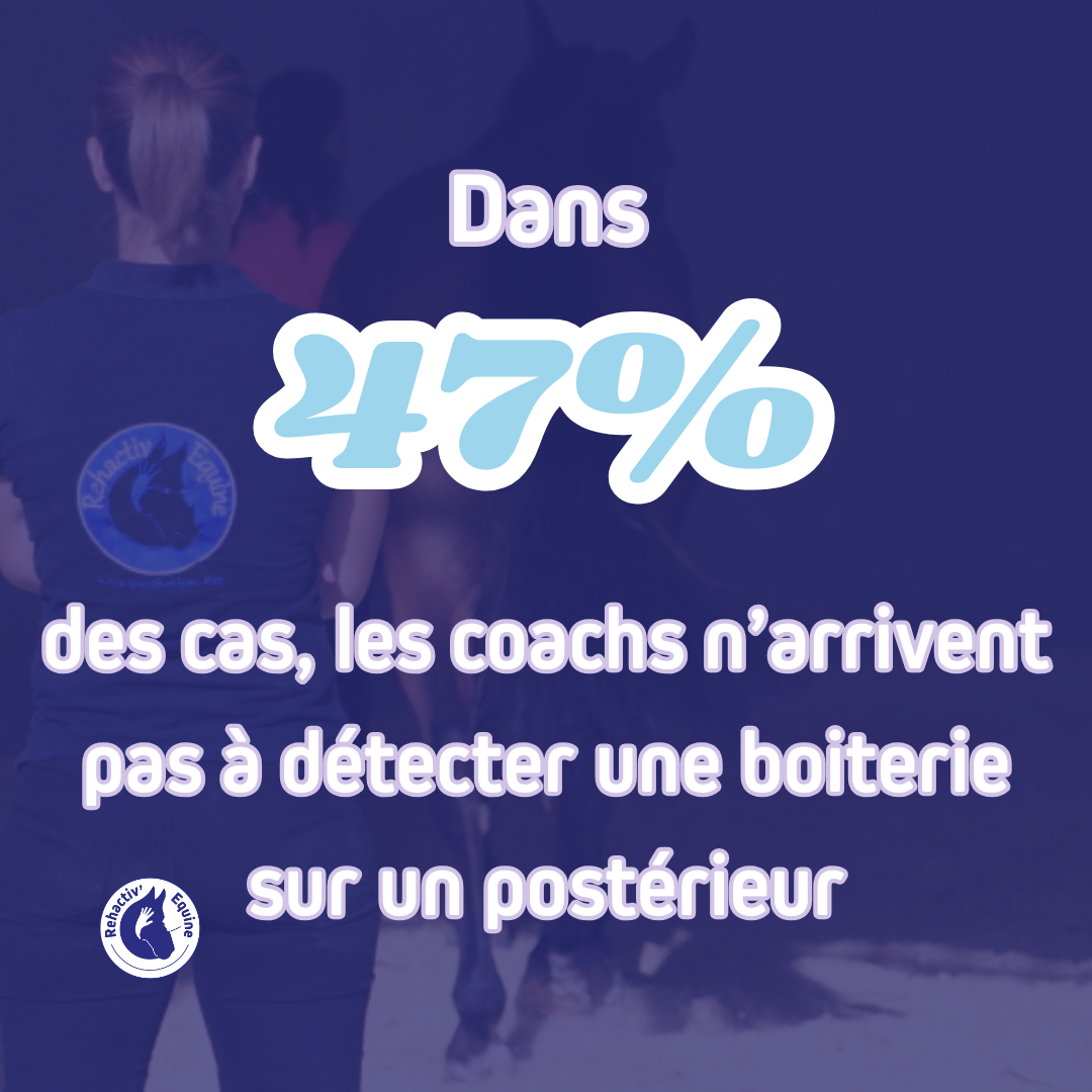 Bilan biomecanique - détection de la boiterie chez le cheval