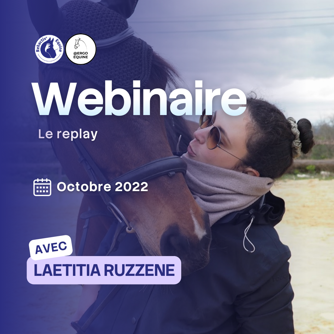 Laetitia Ergonomie equestre filet adapté