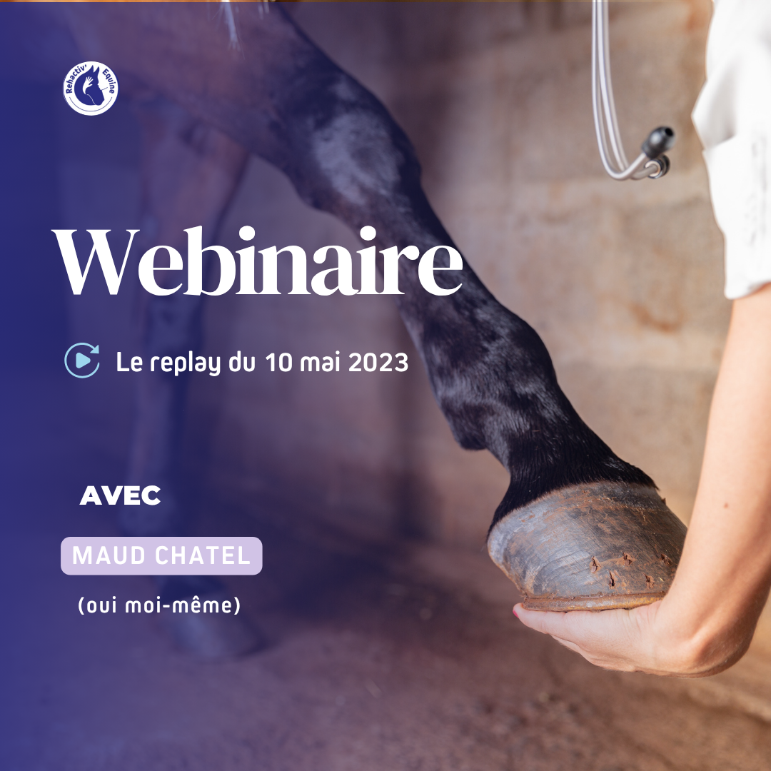 Webinaires la tendinite du cheval
