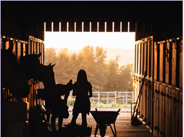 et-si-nous-rendions-nos-chevaux-sensibles-aux-mouches