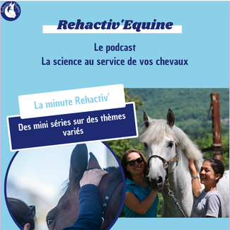 rehactiv-equine-le-podcast