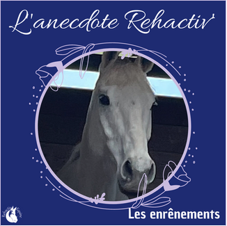 se-faire-confiance-et-ecouter-son-cheval