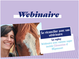 webinaire-les-droits-et-les-obligations-de-votre-veterinaire-avec-eponavet