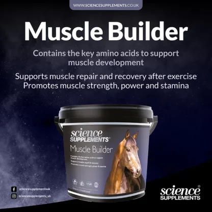 produit muscle builder pour cheval