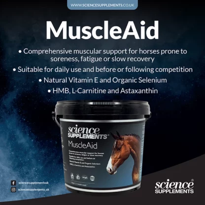 produit muscleaid pour cheval