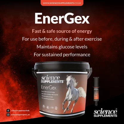 produit Energex - Récupération et entrainement du cheval de sport pour cheval