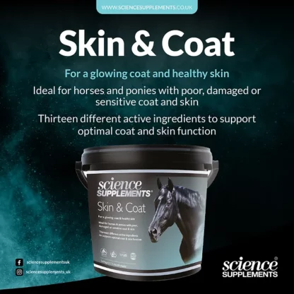 produit skin & coat pour cheval