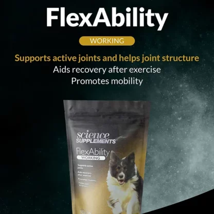 produit flexability pour chien