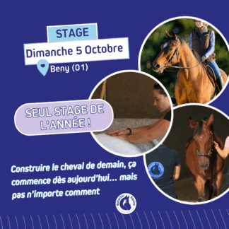 Stage bien-être et performance