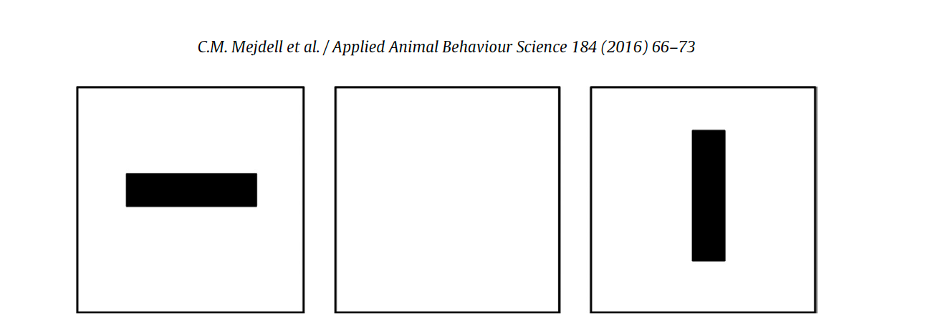 Symboles pour apprendre à votre cheval à choisir sa couverture