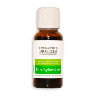 Macérât de Pin Sylvestre- Reminéralisant