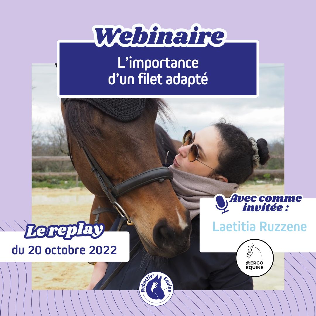 Webinaire ErgoEquine