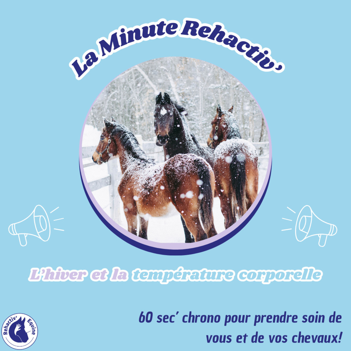 La température de votre cheval l