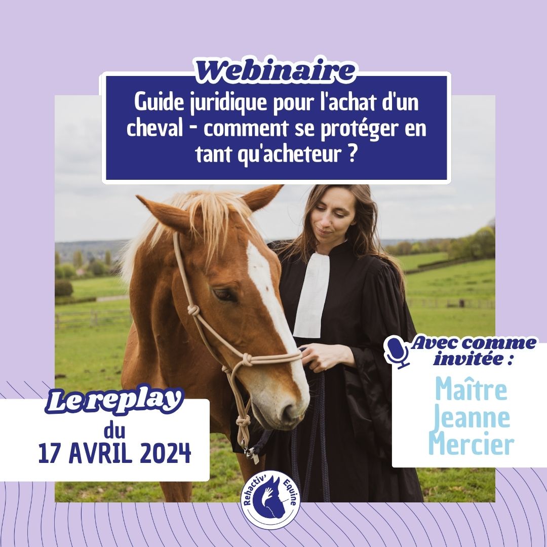 Acheter un cheval Webinaire Othello droit équin