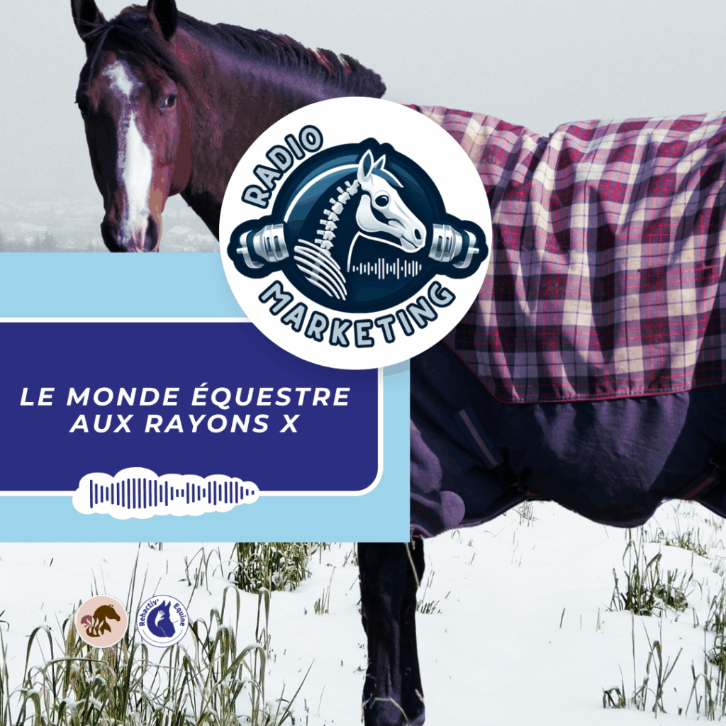 Couvertures thermo-adaptatives pour cheval