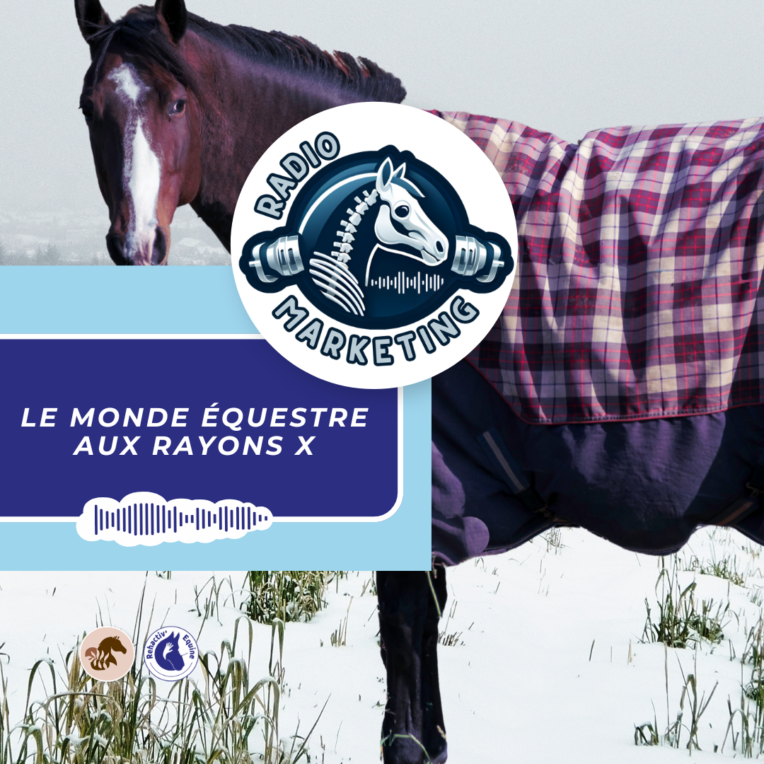 Couvertures thermo-adaptatives pour cheval