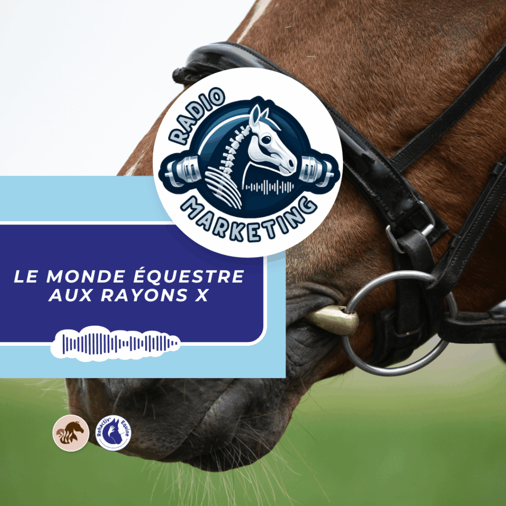 Gel anti-friction pour chevaux