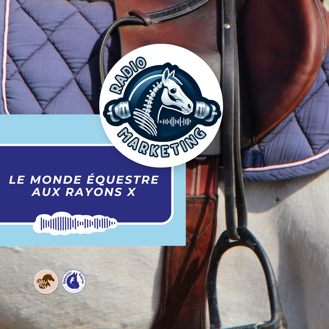 La sangle triple chill