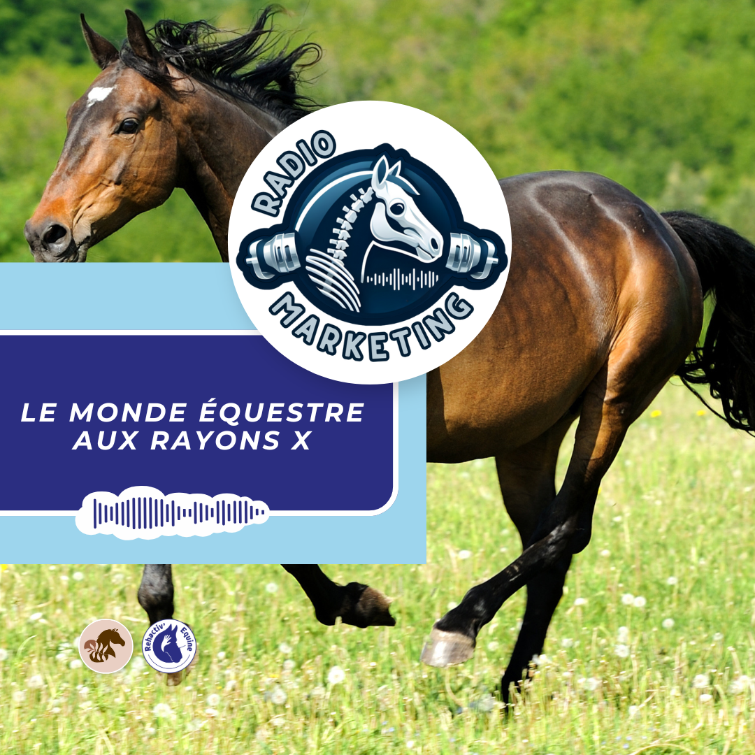 aliment pour les muscles du cheval