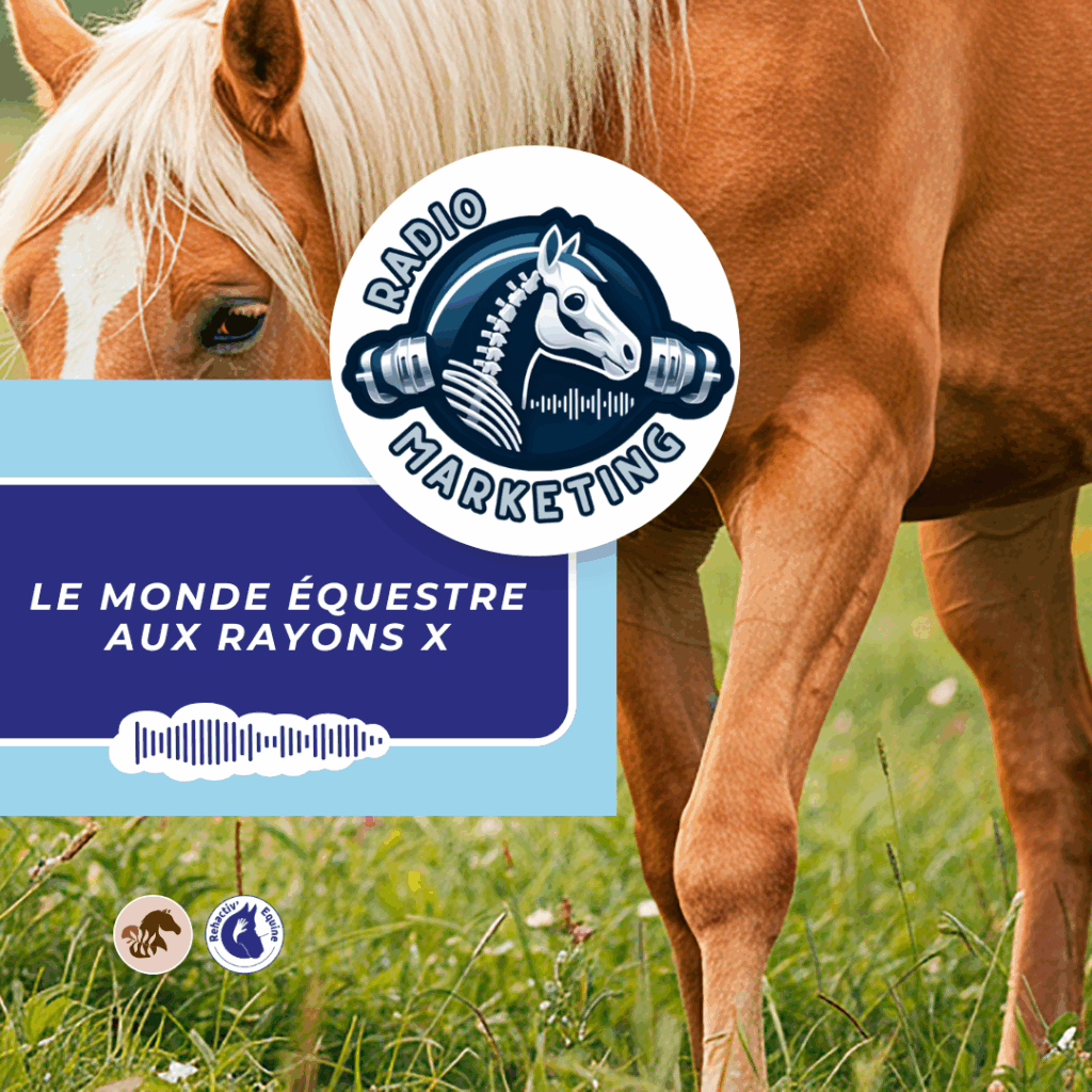 compléments gastriques pour cheval