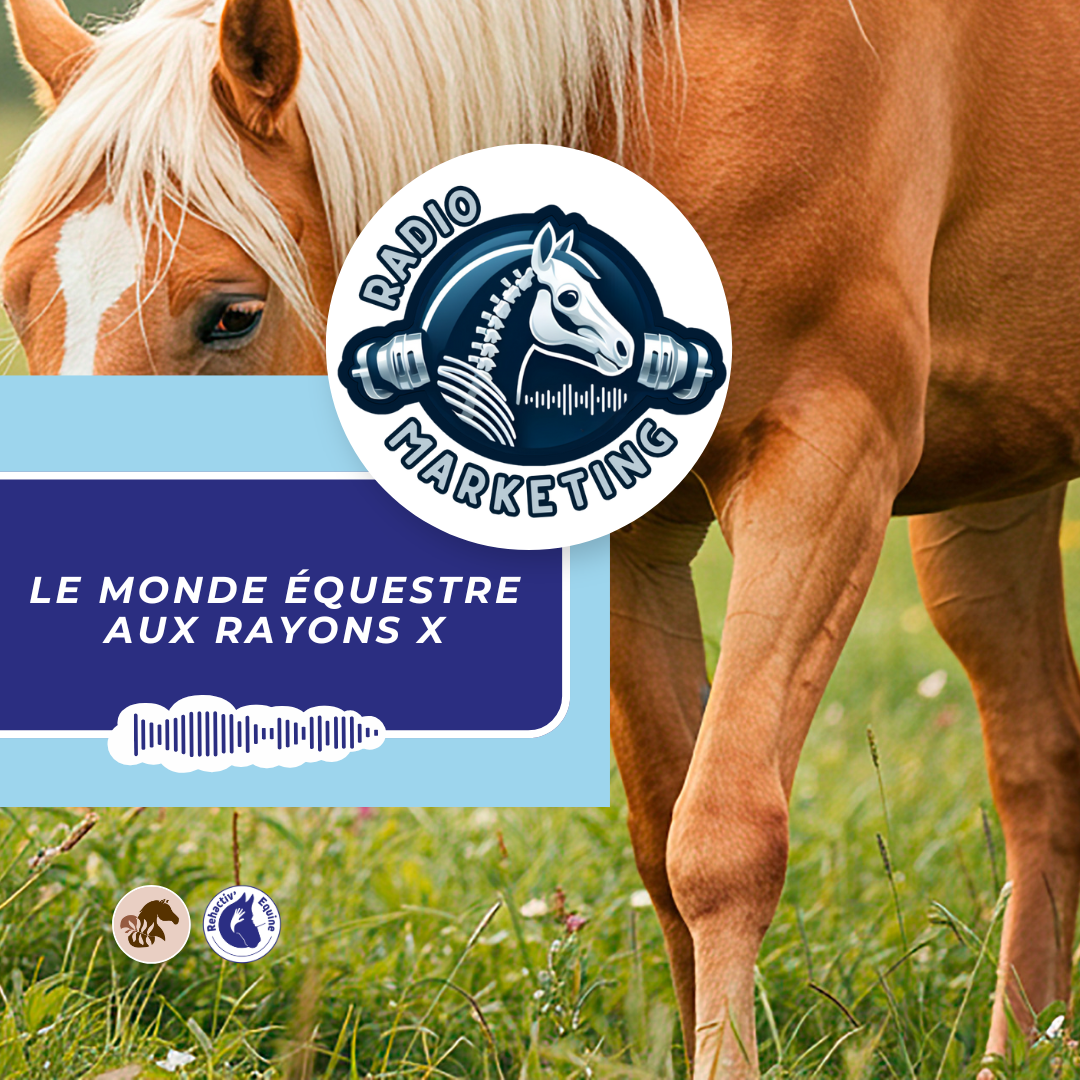 compléments gastriques pour cheval