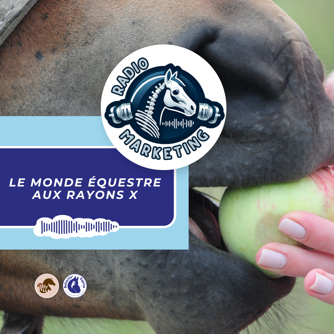 friandise pour chevaux