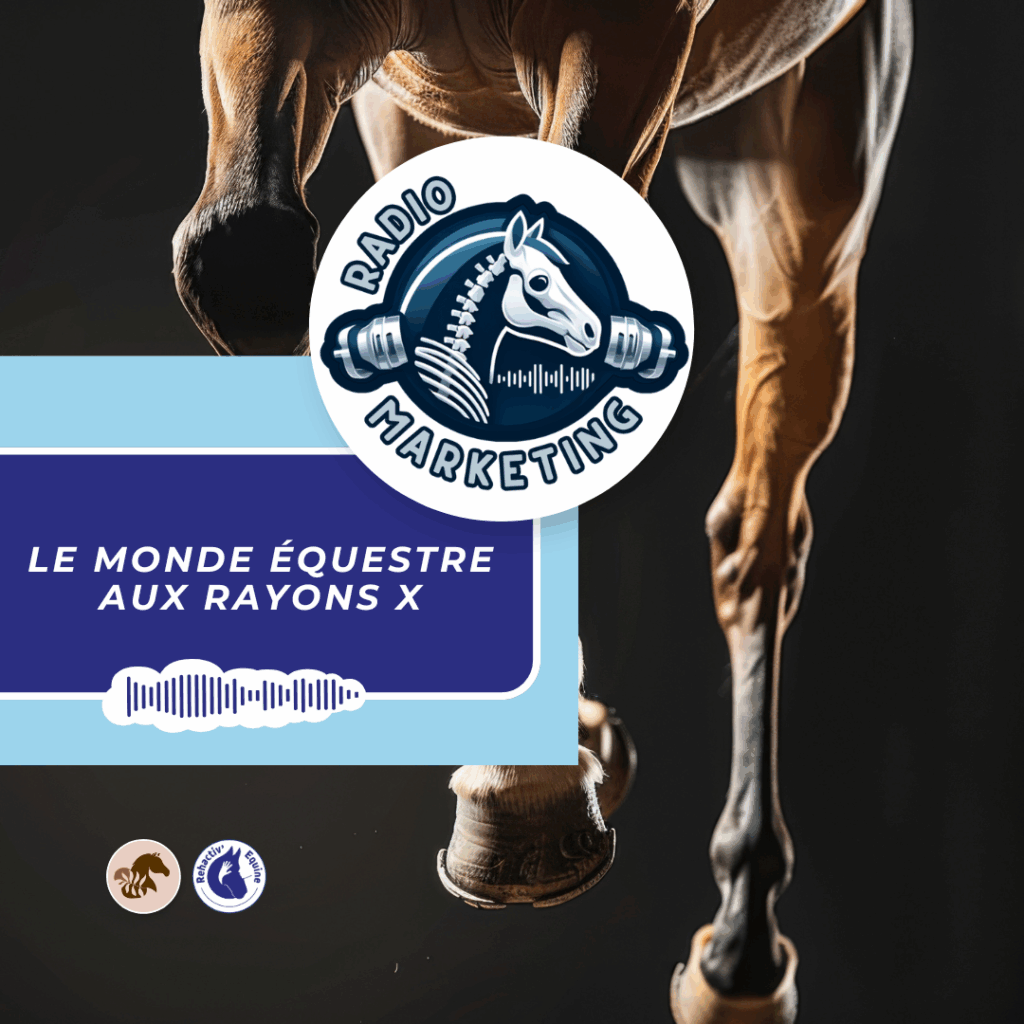 gel refroidissant pour chevaux
