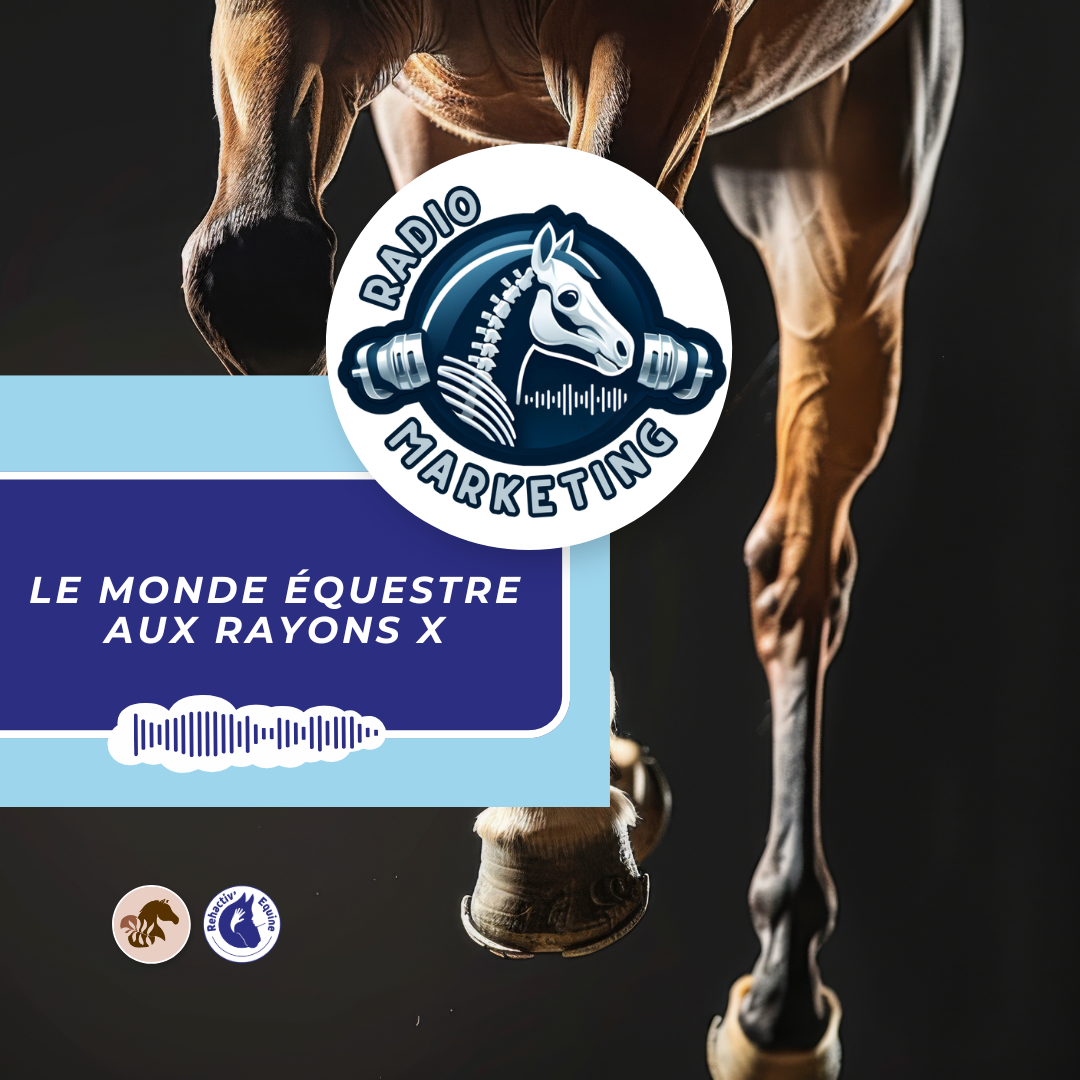gel refroidissant pour chevaux