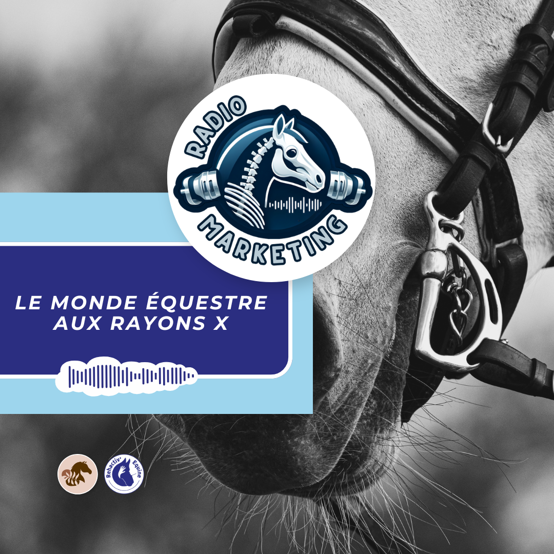 mors anti-stress cheval