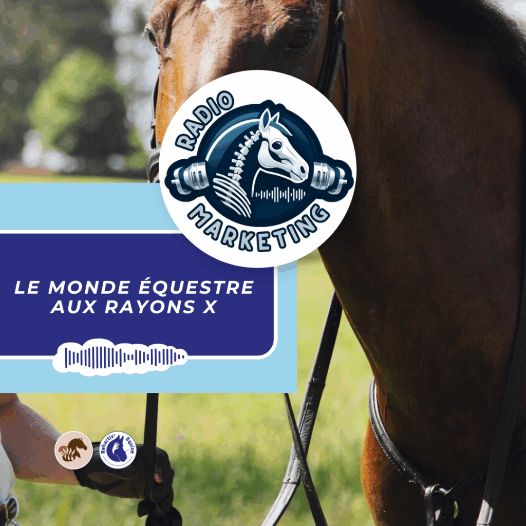 rênes de sécurité : Equitation