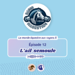 Ail semoule pour chevaux