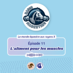 les aliments pour les muscles de votre cheval