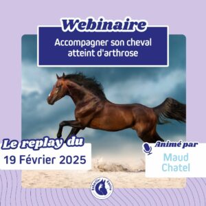 Replay webinaire arthrose