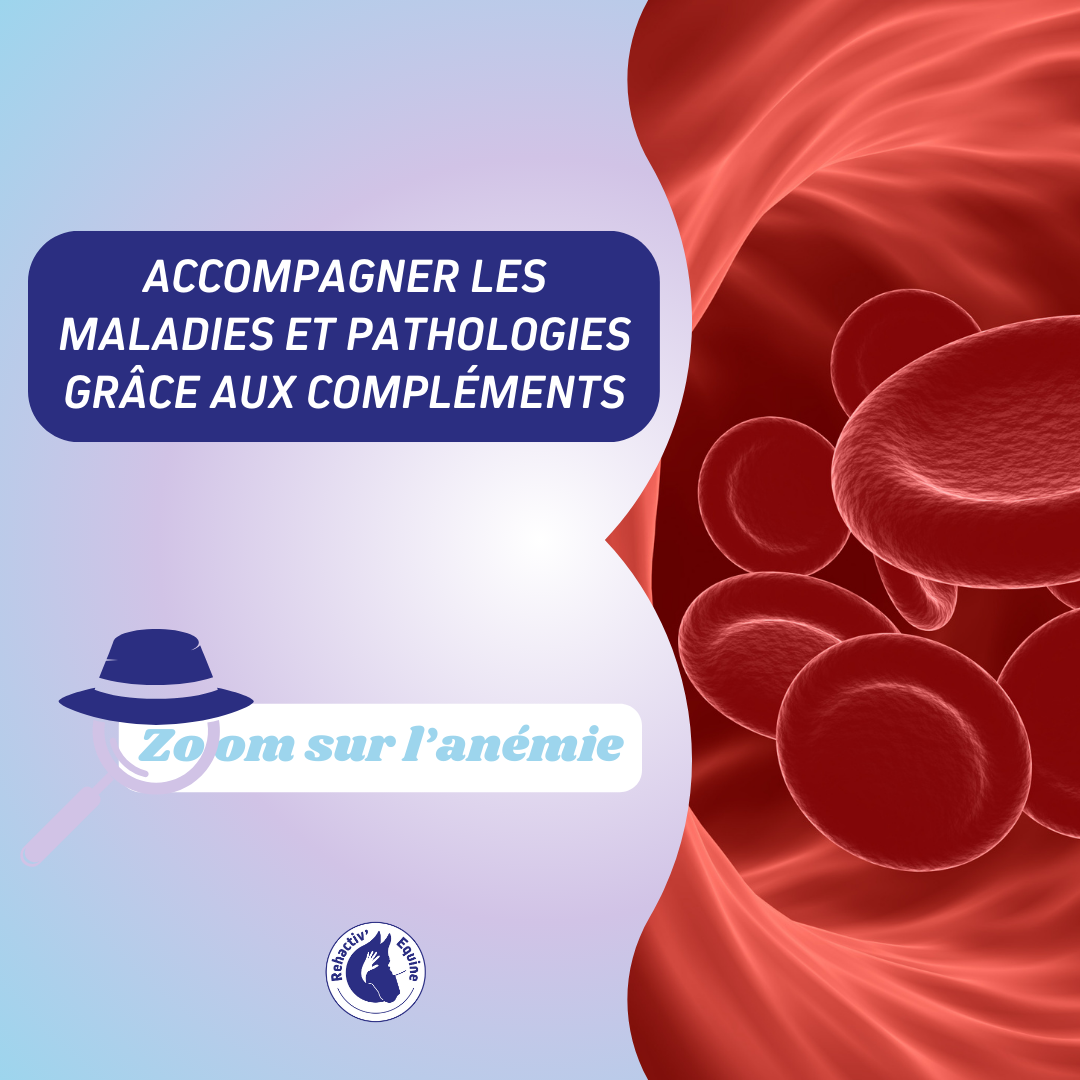 Anémie
