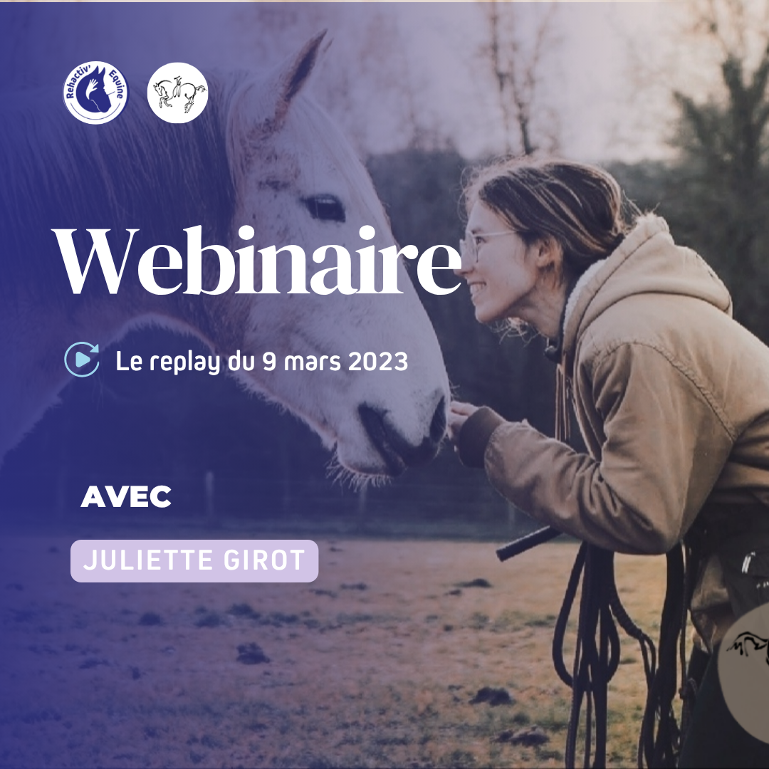 Bie-être et bien traitance en équitation - Juliette Girot webinaire