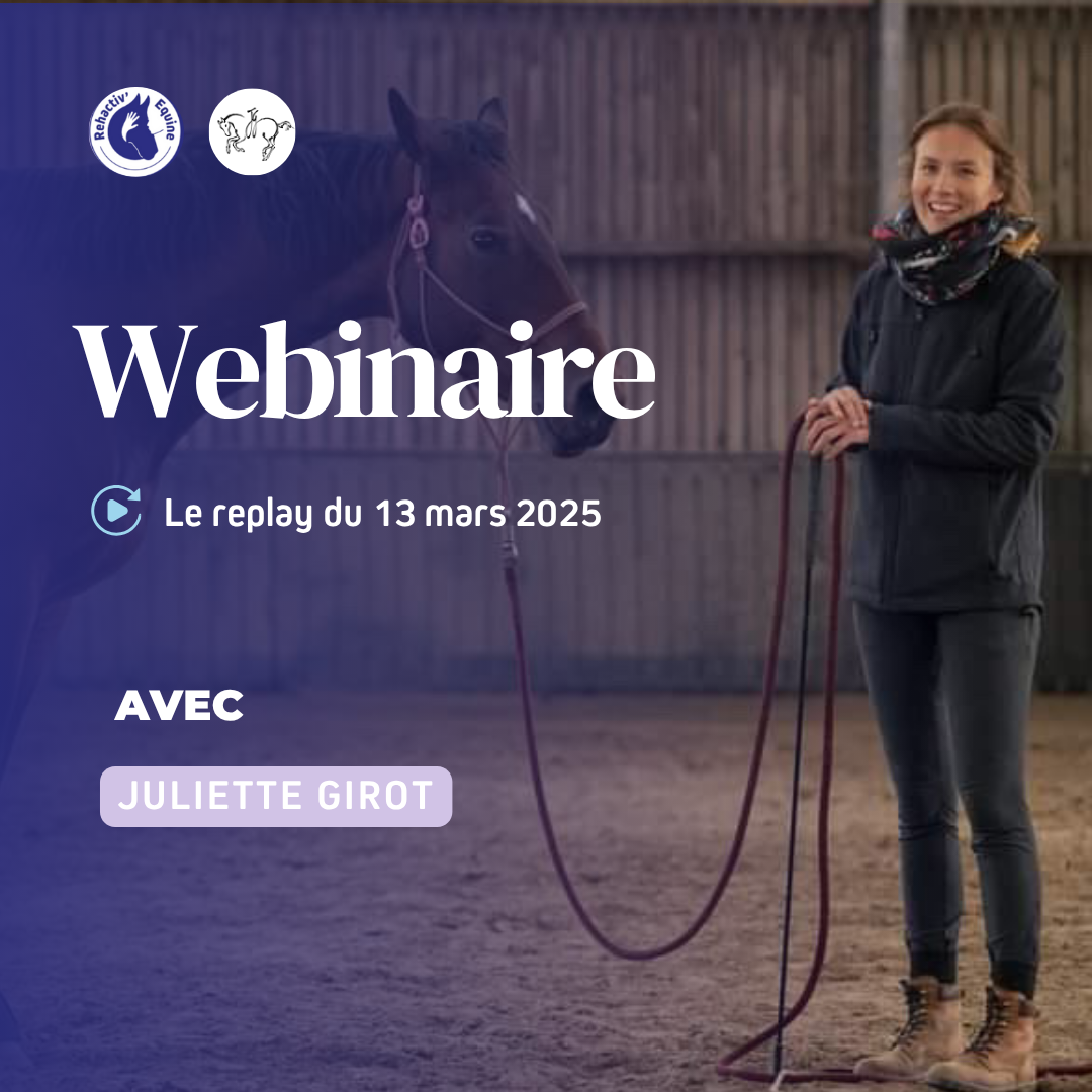 À la découverte des différentes méthodes d’apprentissage - Juliette Girot webinaire