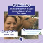 Arbres fourragers pour chevaux