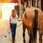 apprentissage du cheval