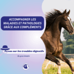 Les troubles digestifs