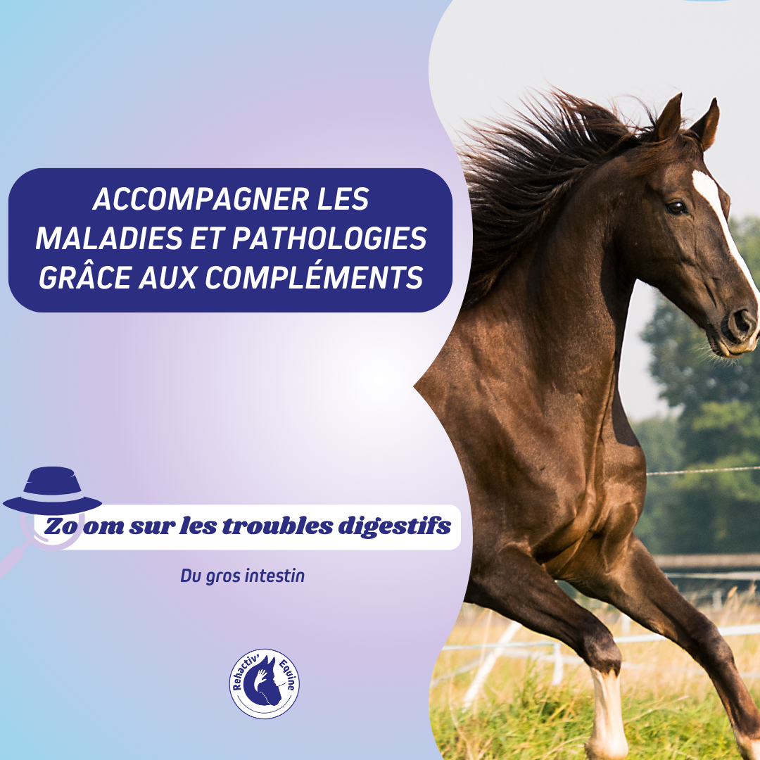 Les troubles digestifs