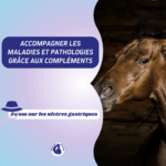 cheval sujet aux ulcères gastriques