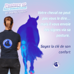 Posture et locomotion intro