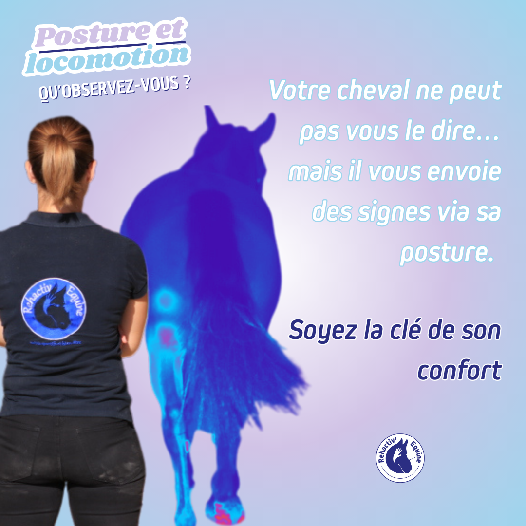 Posture et locomotion intro