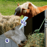 Slowfeeders pour chevaux